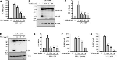 The leaves of the seasoning plant Litsea cubeba inhibit the NLRP3 inflammasome and ameliorate dextran sulfate sodium-induced colitis in mice